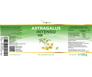 Astragalus Intenso-ekstrakt - 700 mg (50% polysakkarider) - 180 kapsler fra Vit4ever